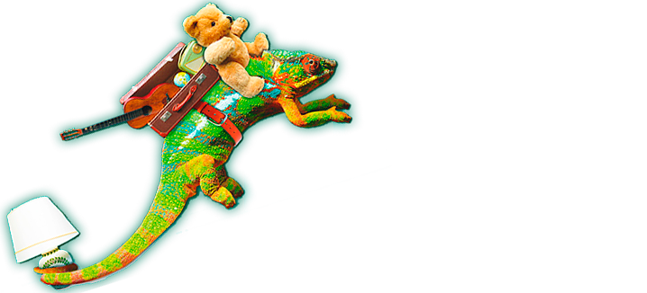 Lagler Räumungen